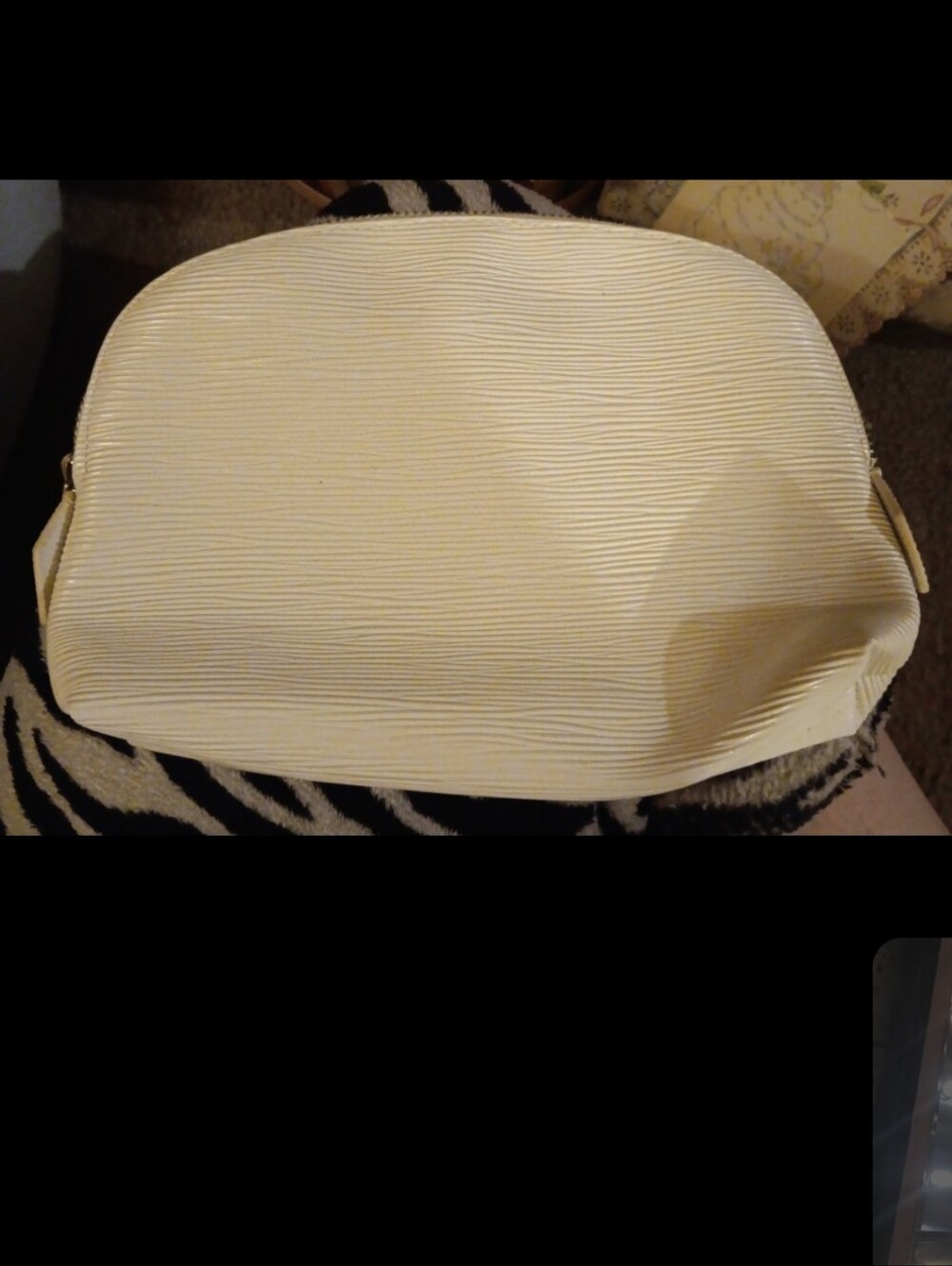Alastin skincare white cosmetic bag